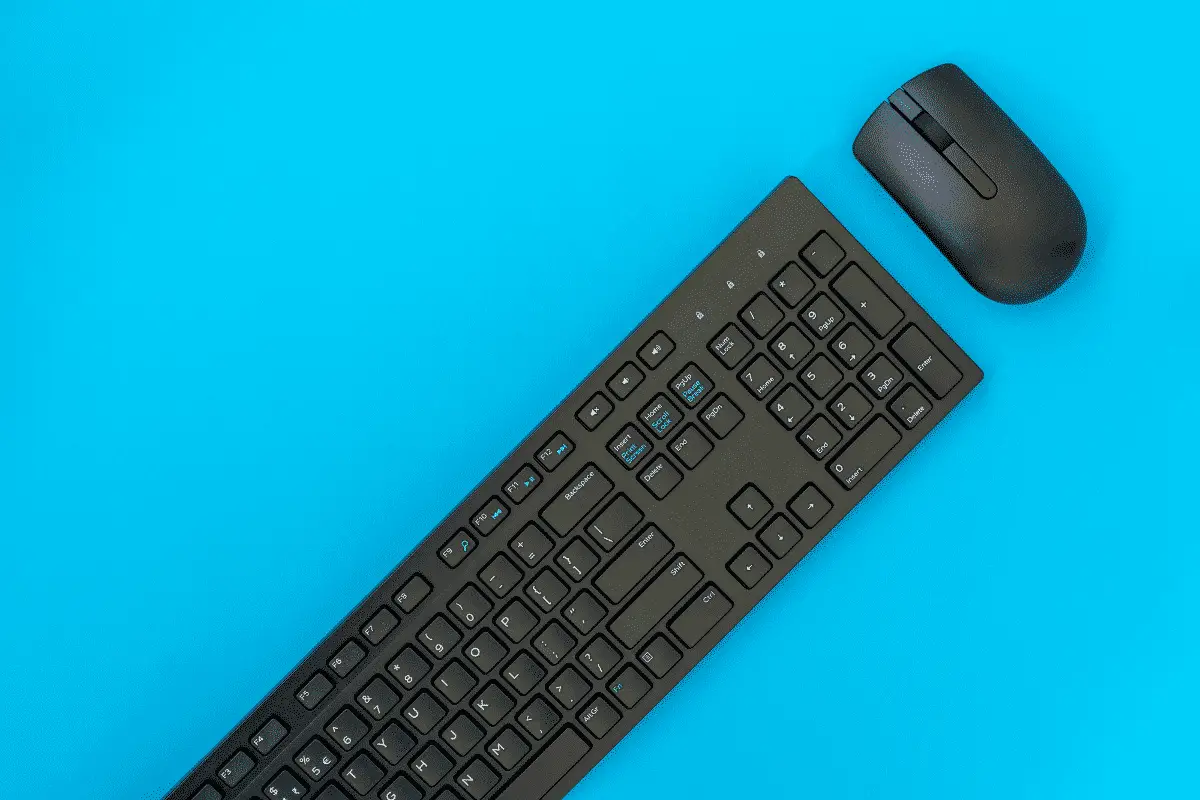 Is Keyboard and Mouse Worth it on PS4? The Complete Guide